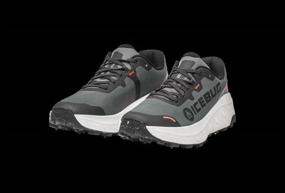 Women's Arcus 2 Bugrip Gtx Shoes