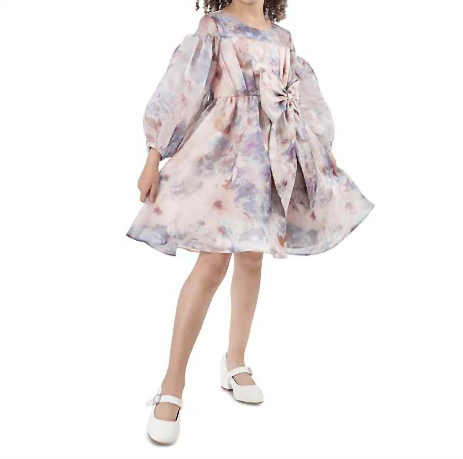 Rare Editions - Toddler & Little Girls Balloon Sleeve Floral Organza Dress - Rack Hunt -