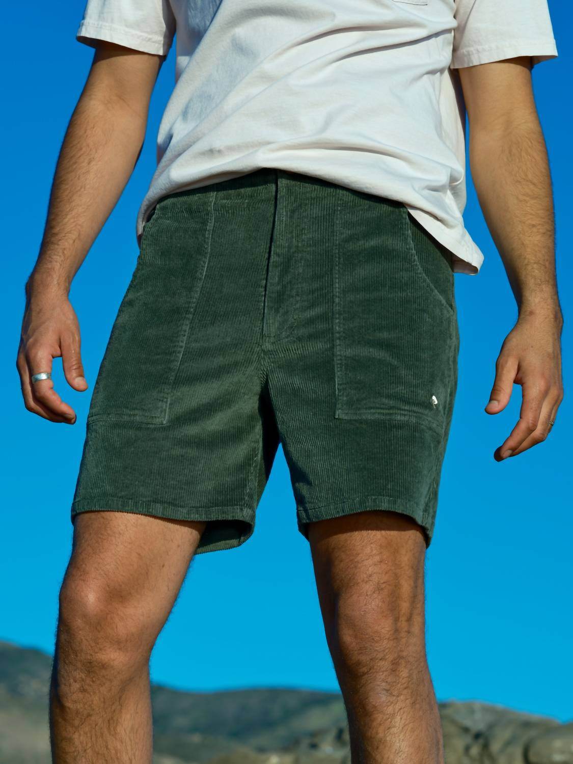 Mollusk Surf Shop - Men's Shroom Shorts - Rack Hunt -