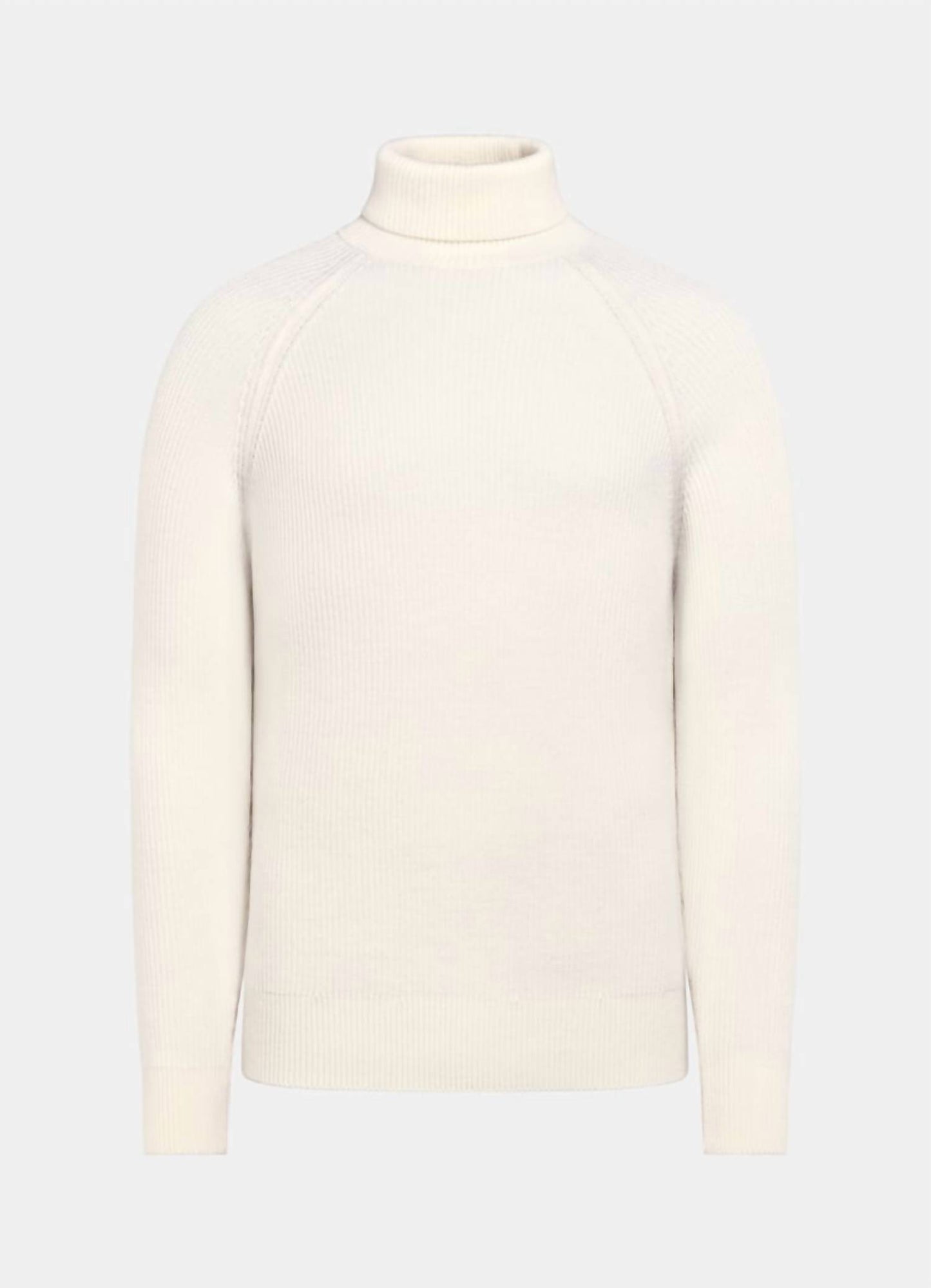 Ribbed Merino Wool Turtleneck Sweater - Plus