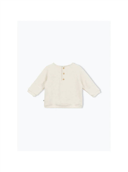 Boy's Tropics Icon Sweatshirt