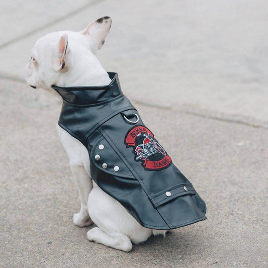 Doggie Design - Biker Dawg Motorcycle Jacket - Rack Hunt -