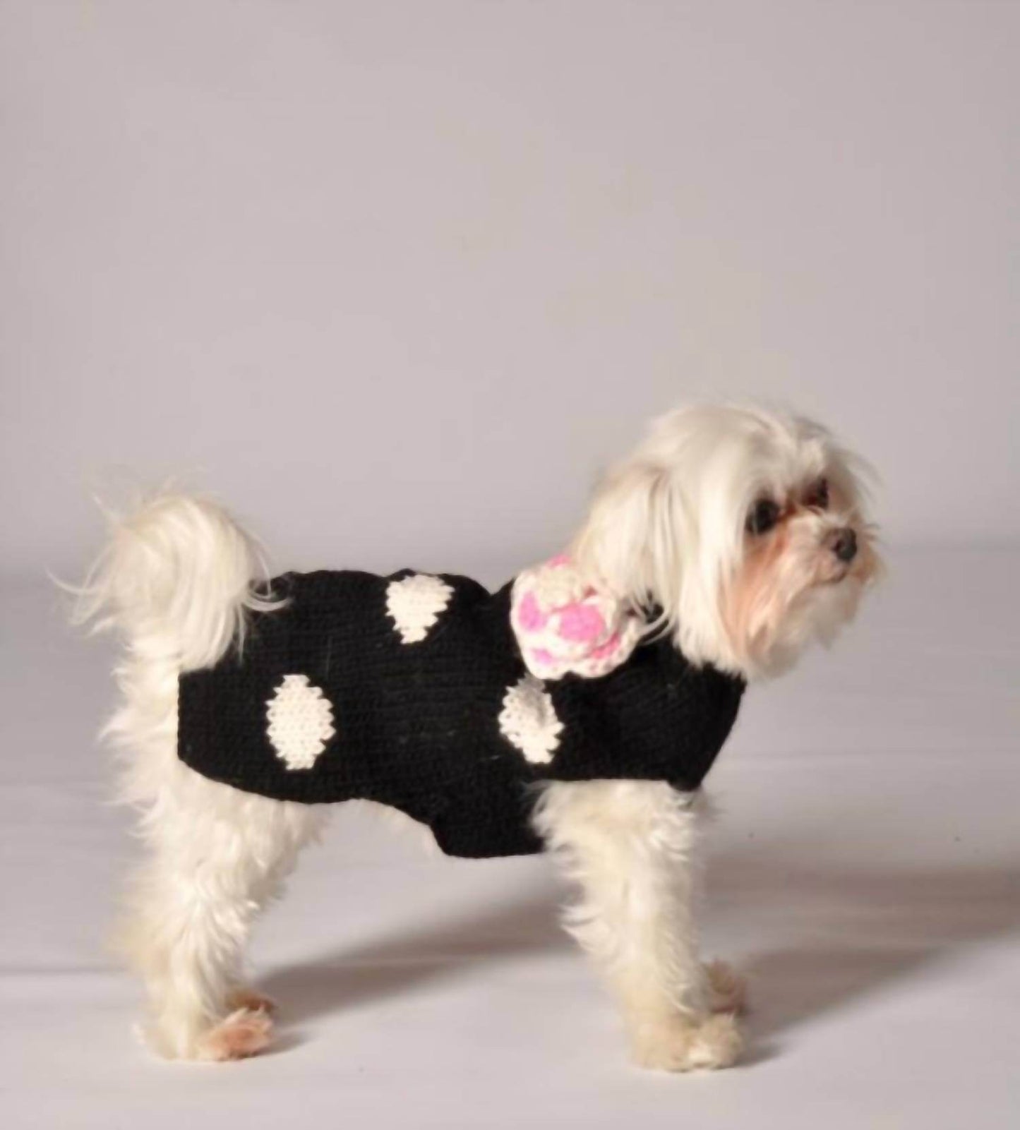 Chilly Dogs - Polka Dot Dog Sweater - Rack Hunt