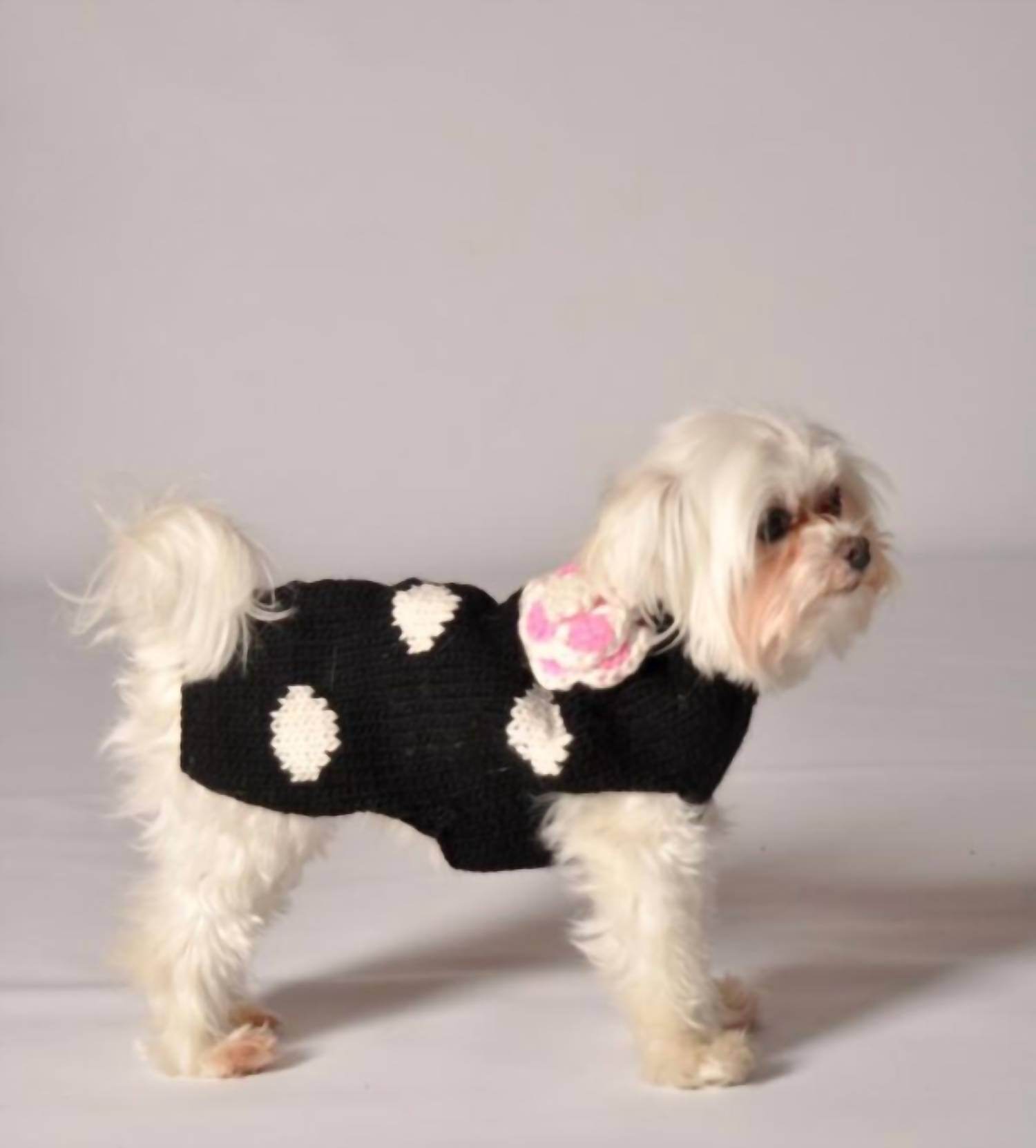 Chilly Dogs - Polka Dot Dog Sweater - Rack Hunt