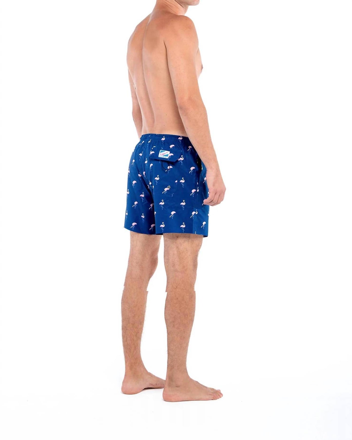 Men's Miami Pull-on Swimwear