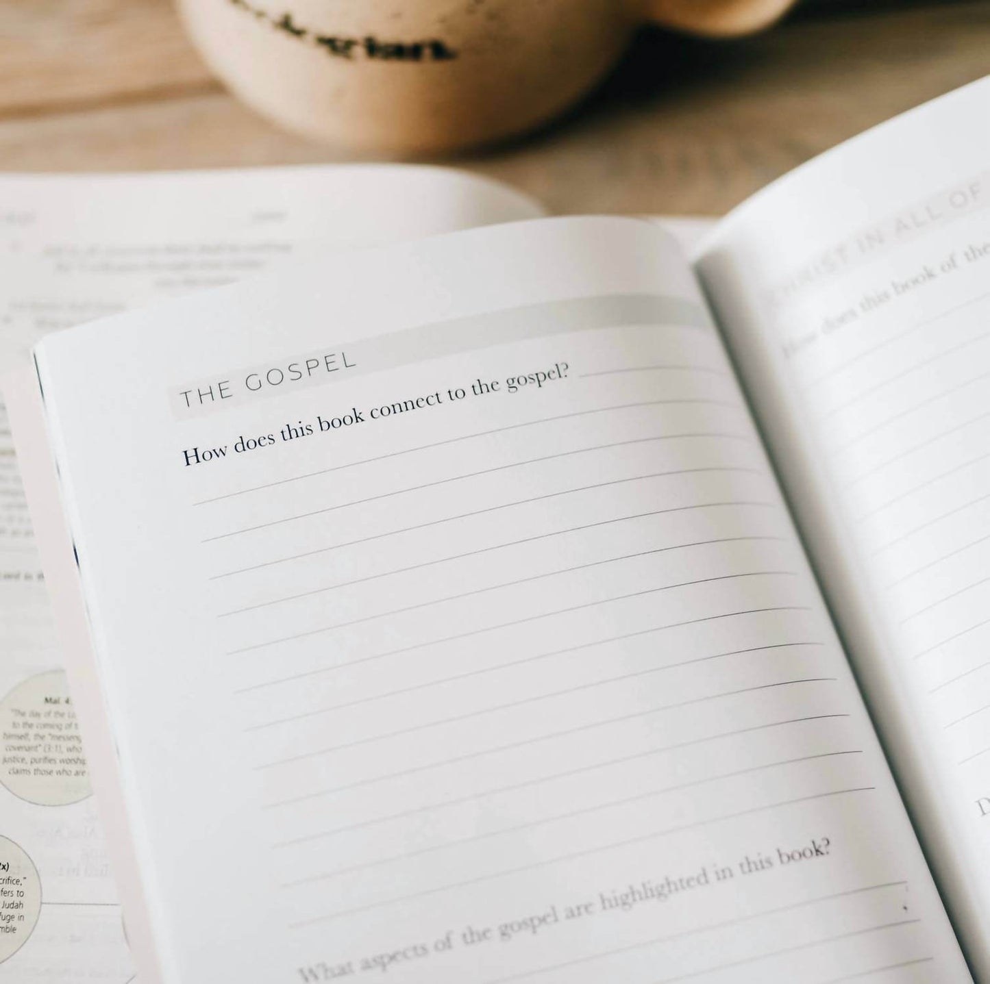 The Daily Grace Co. - Book by Book Bible Study Journal - Rack Hunt -