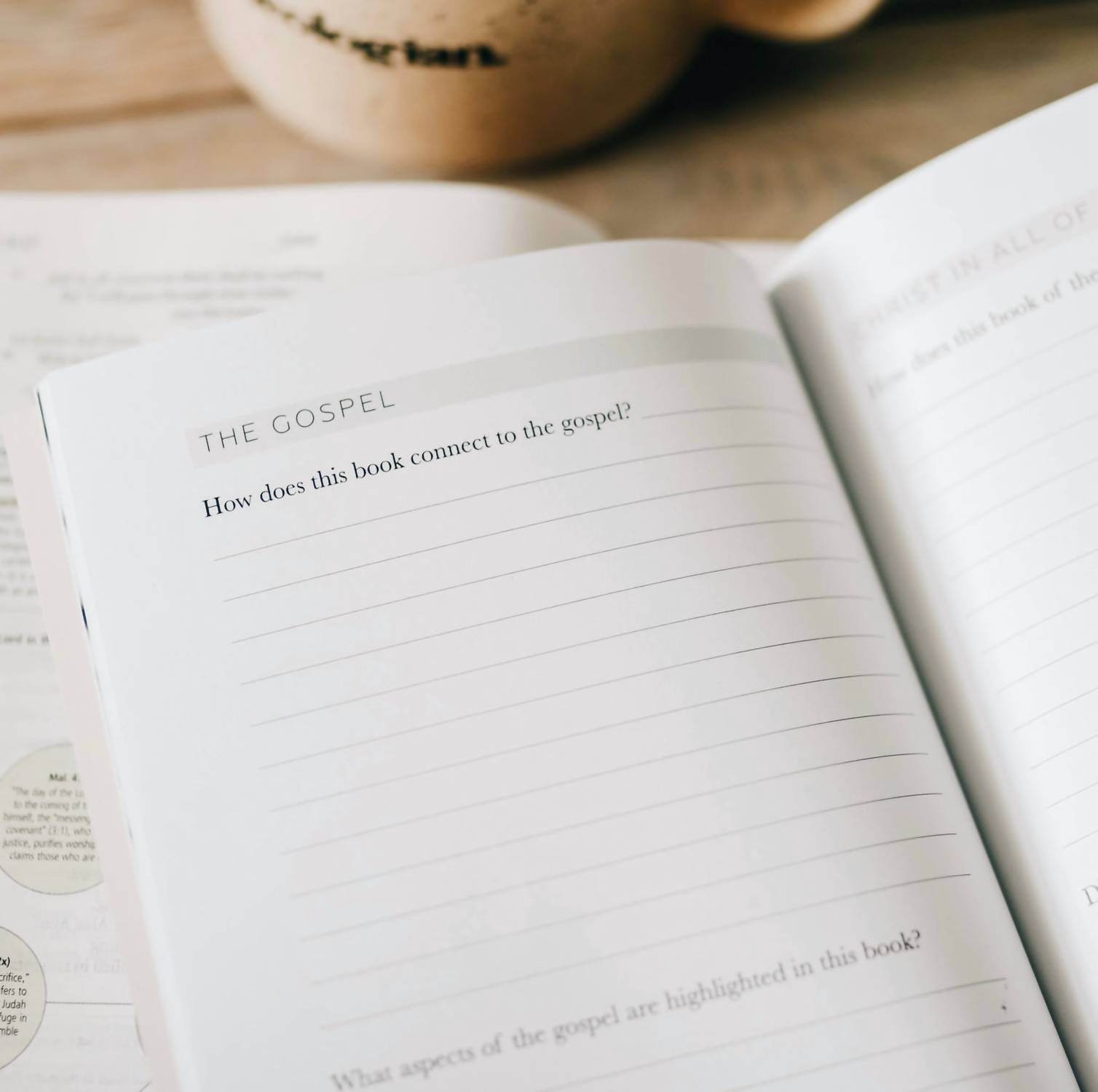 The Daily Grace Co. - Book by Book Bible Study Journal - Rack Hunt -