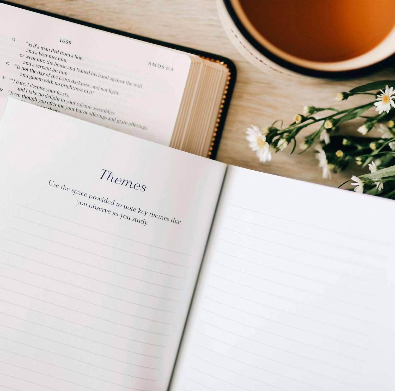 The Daily Grace Co. - Book by Book Bible Study Journal - Rack Hunt -