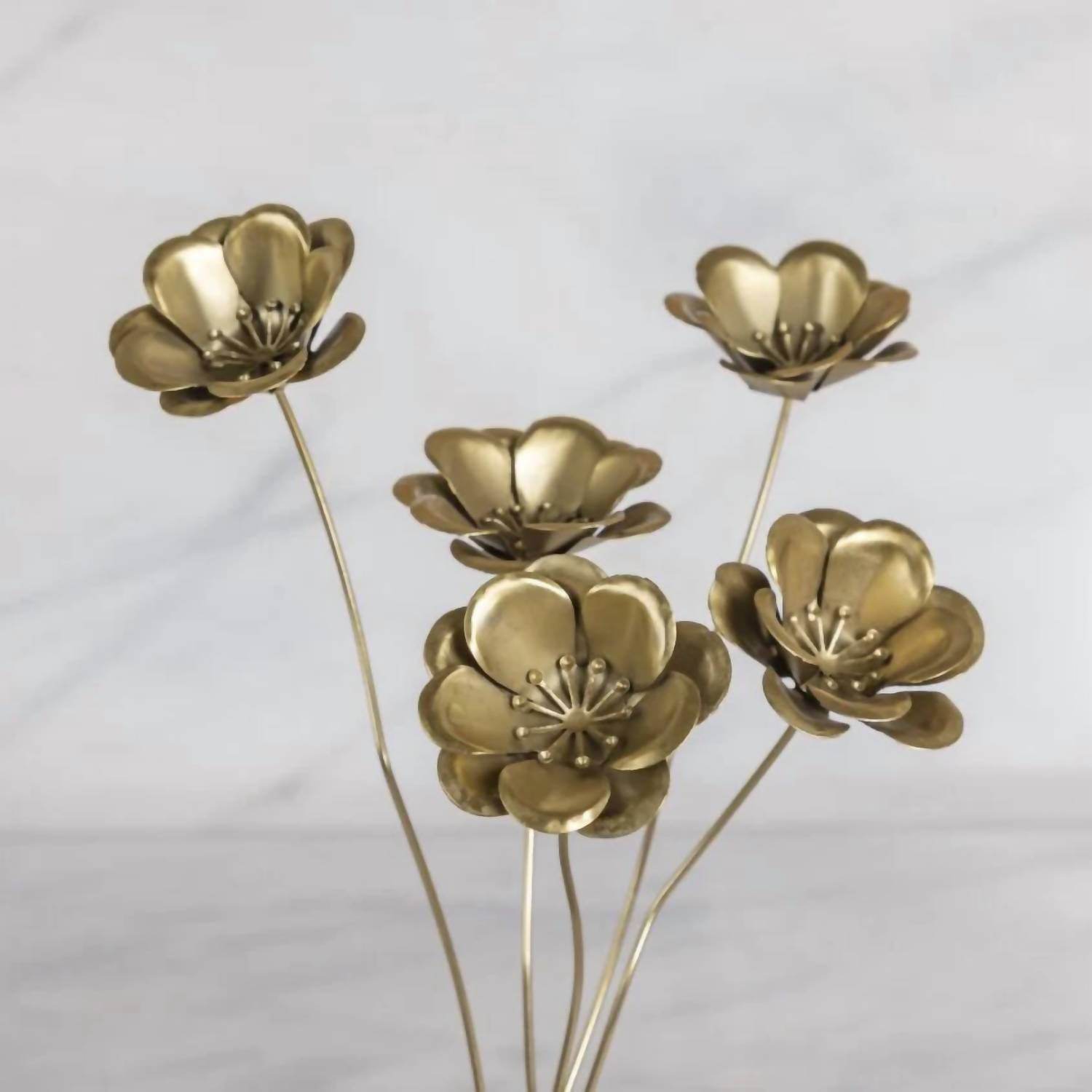 Be Home - Botanical Poppy Stem - Rack Hunt -