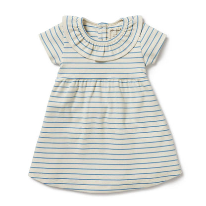 Petite Ruffle Dress