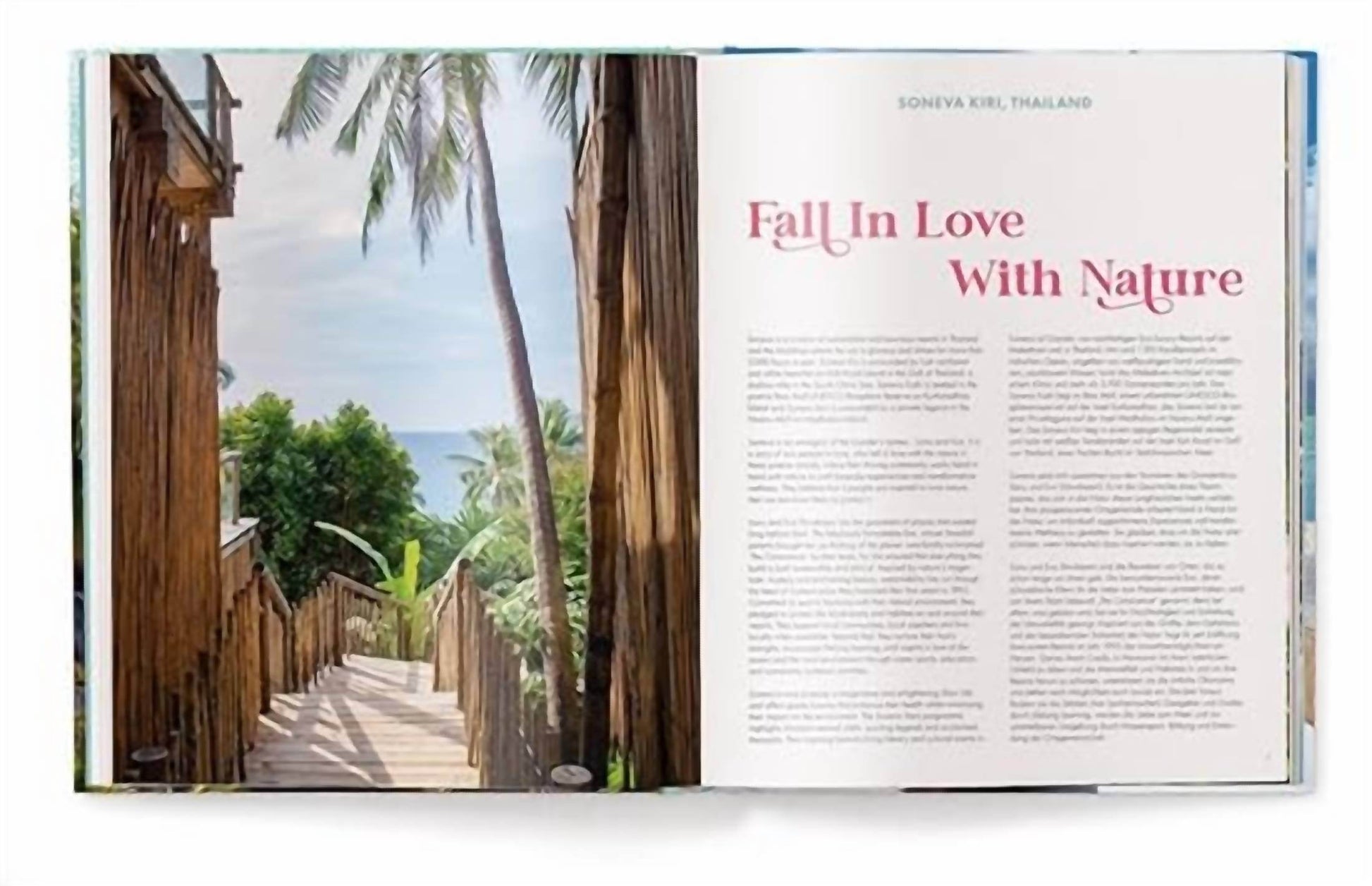 ACC Publishing - This Must Be Paradise Book - Rack Hunt -