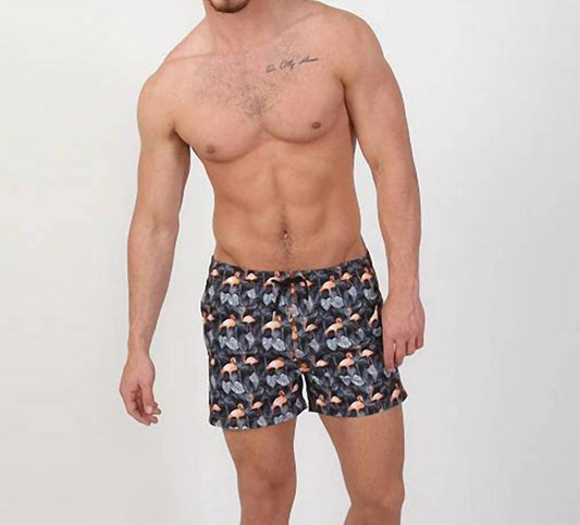 Flamingo and Palm Print Swim Trunks