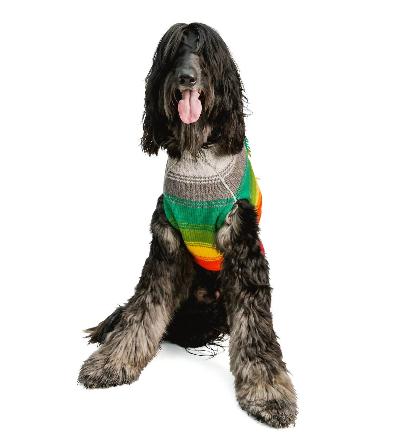 Chilly Dogs - Rainbow Mohawk Dog Sweater - Rack Hunt