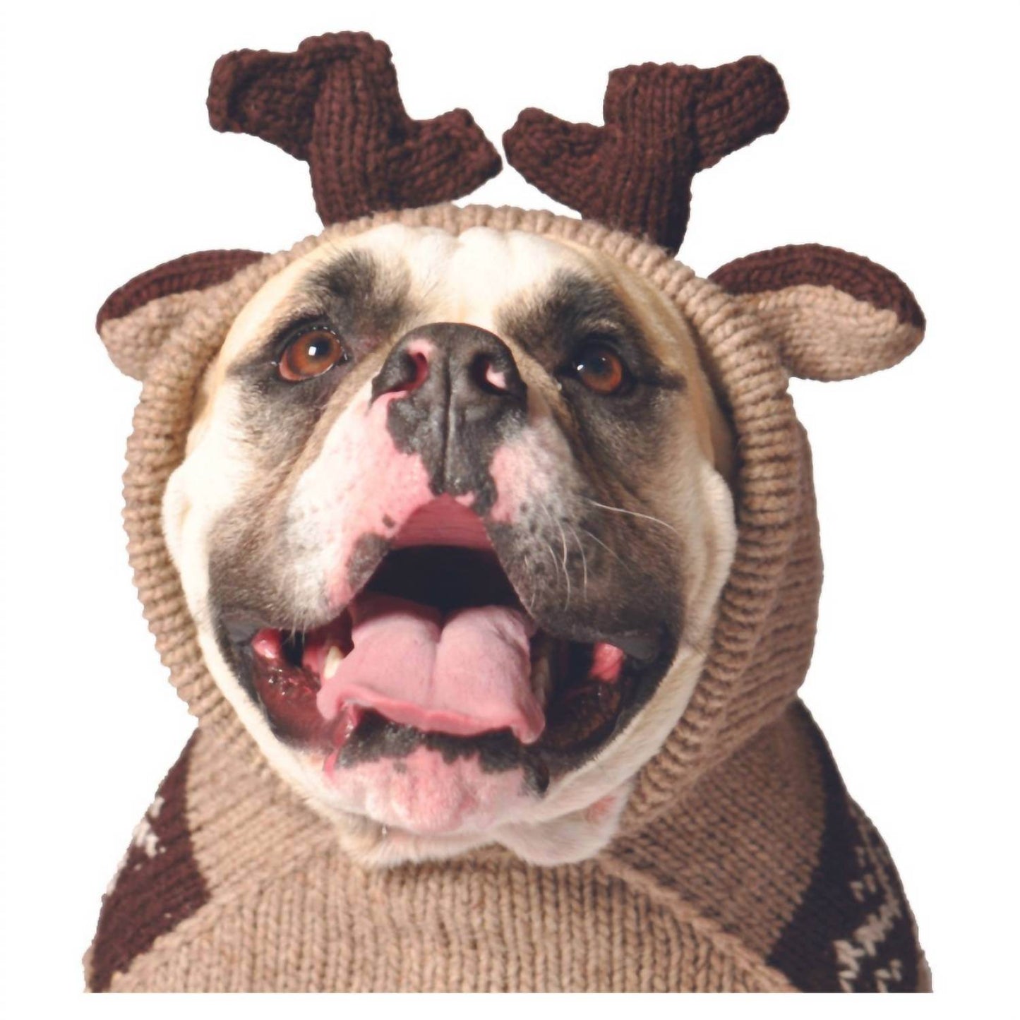 Chilly Dogs - Moosey Dog Sweater - Rack Hunt