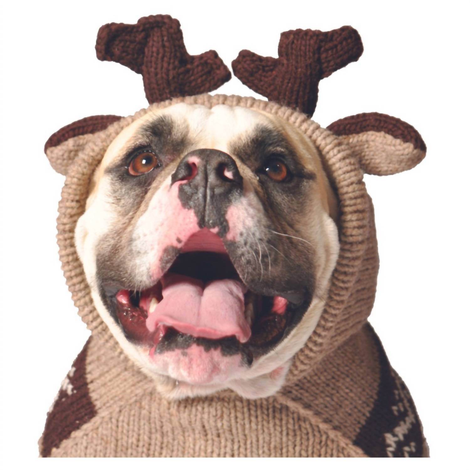 Chilly Dogs - Moosey Dog Sweater - Rack Hunt