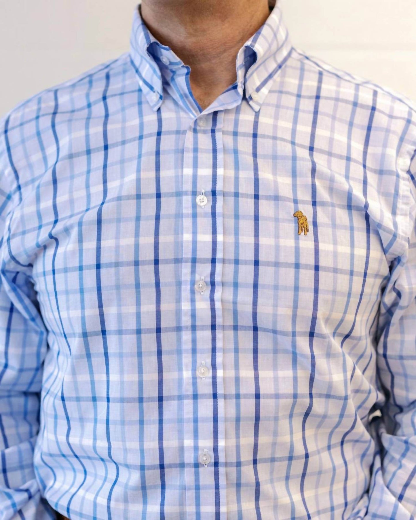 Southern Casanova - Ridge Check Button Down Shirt - Rack Hunt