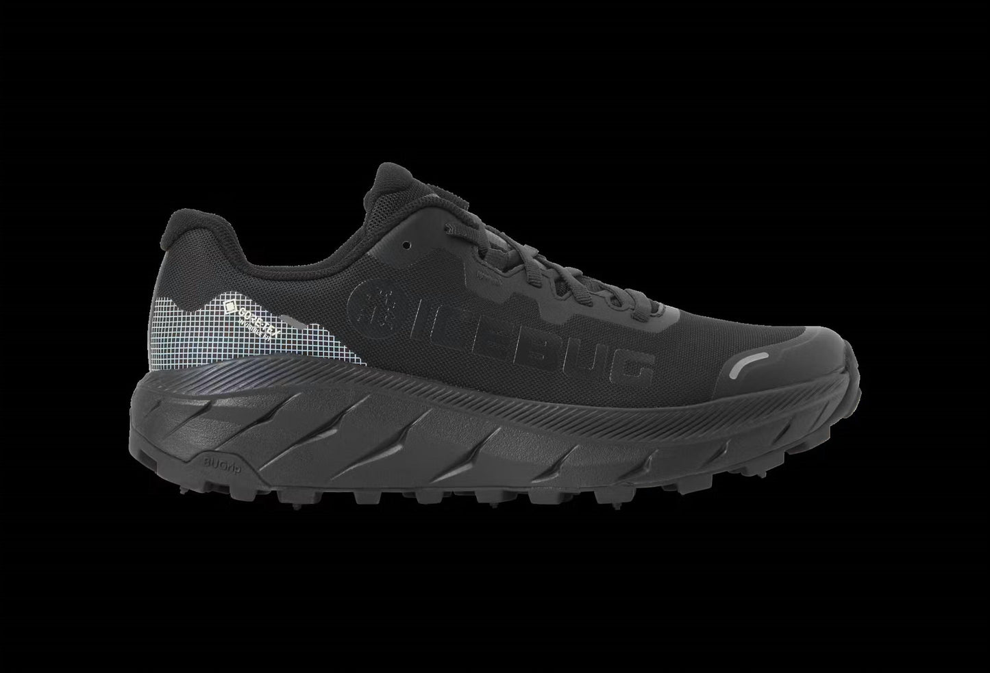 Women's Arcus 2 Bugrip Gtx Shoes