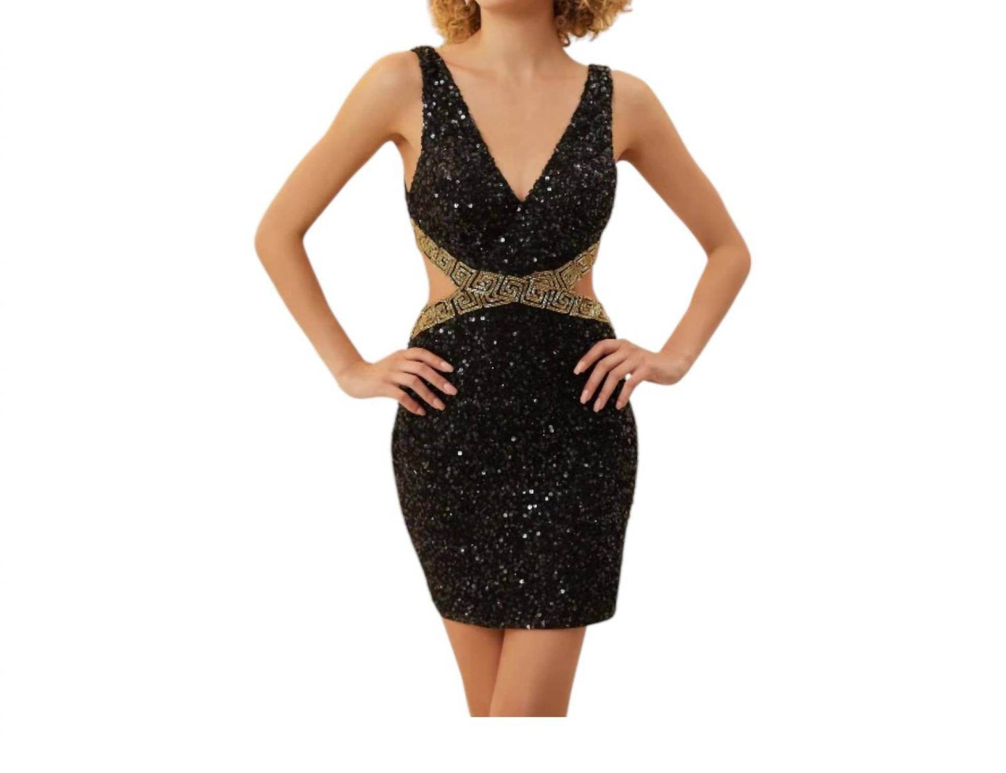 Chandalier - V Neck Mini Dress - Rack Hunt -