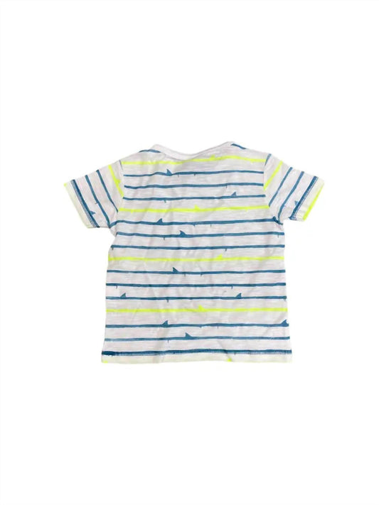 Bear Camp - Boy's Shark Fin Stripe Tee - Rack Hunt -