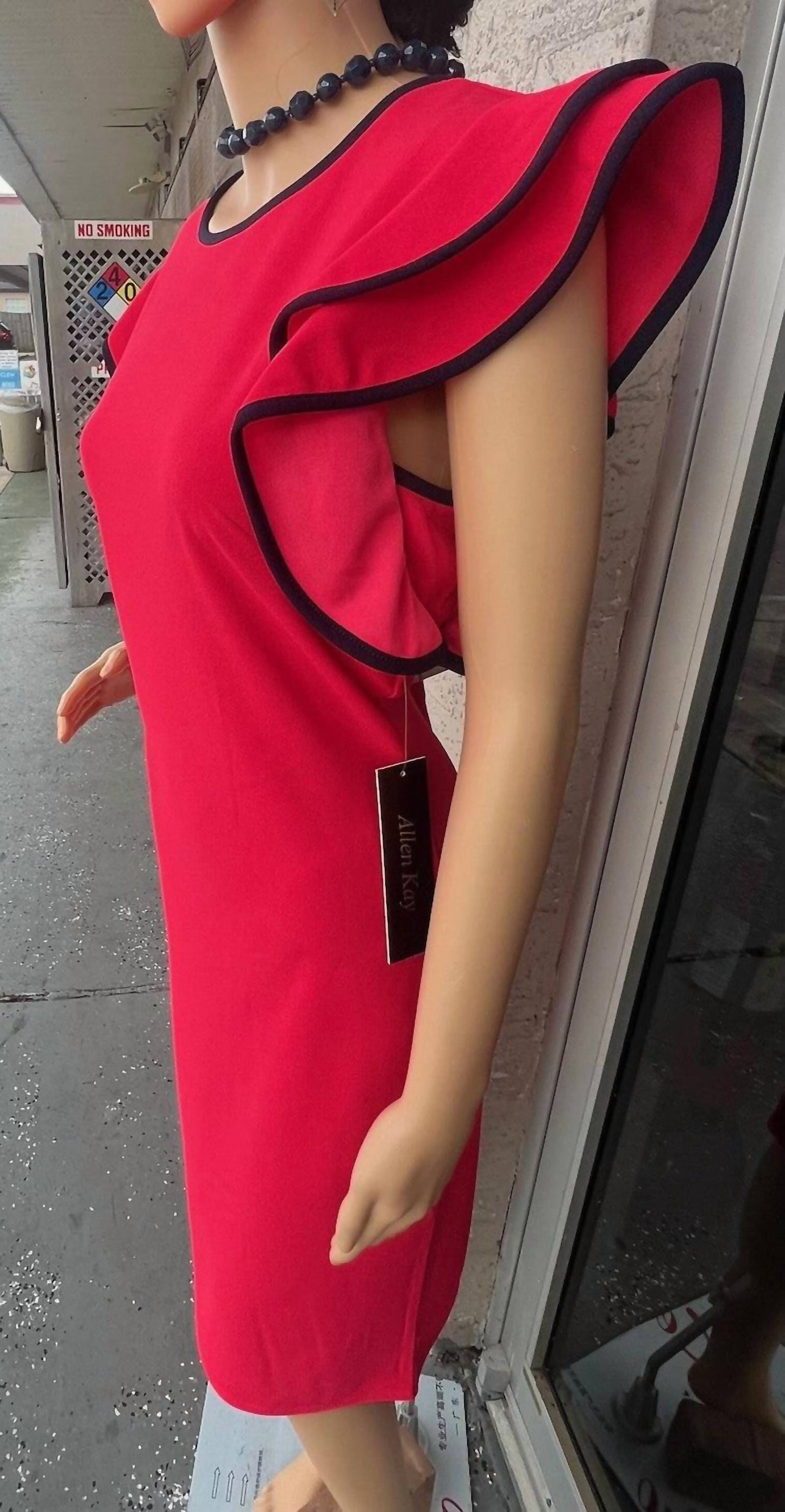 Women's Flare Sleeve Dress