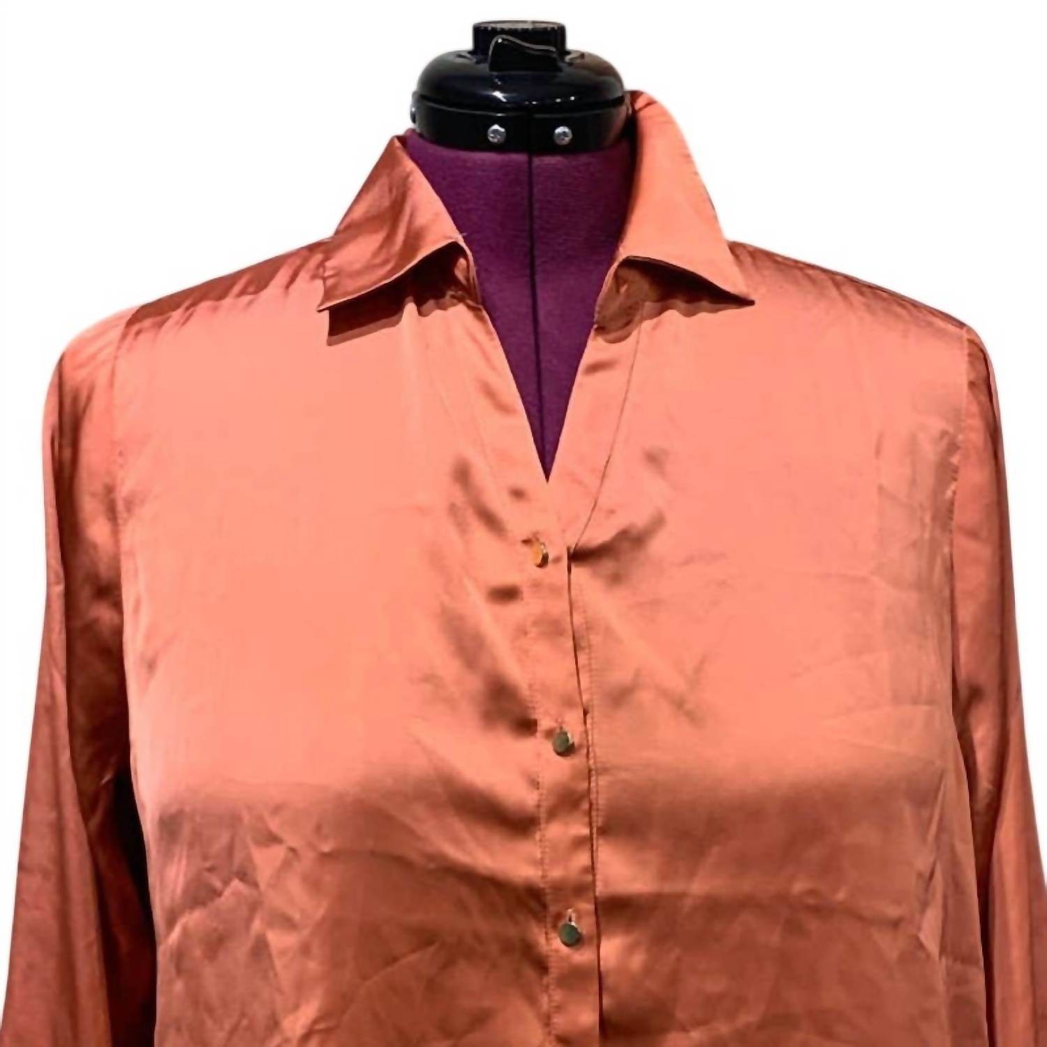 belldini - Ginger Spice Button Down Long Sleeve Back Pleated Blouse - Rack Hunt -