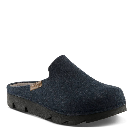 Women's Cloggish Platform Clog