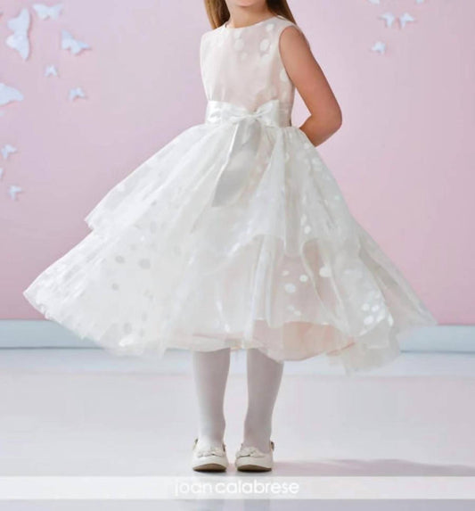 Petal Embroidered Dot Fancy Dress