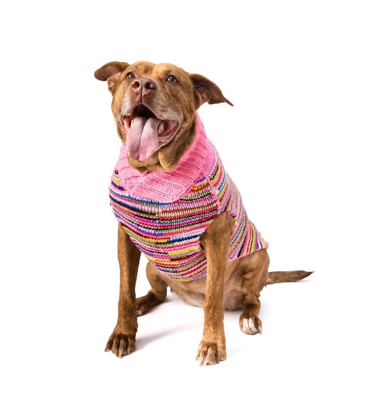 Chilly Dogs - Multi Colored Dog Sweater - Rack Hunt -