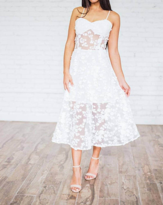 Ariti Kaziris - Lace Peek-a-boo Dress - Rack Hunt