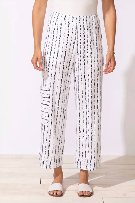 Driftwood Stripe J Pocket Flood Pant - Plus