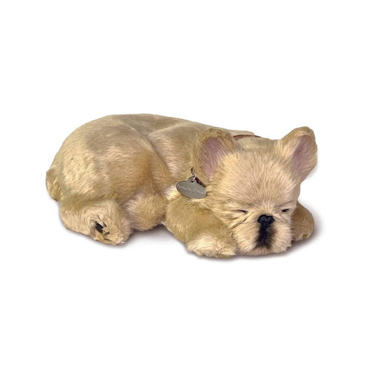 French Bulldog Breathing Pet