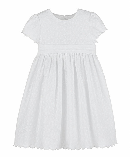Girls Embroidered Dress
