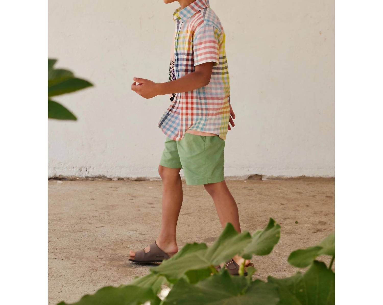 Tea Collection - Button Up Woven Shirt - Rack Hunt -