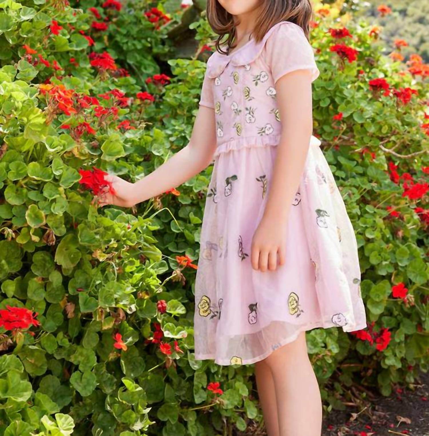 Sasha+Z - Rose Embroidered Collar Dress - Rack Hunt -