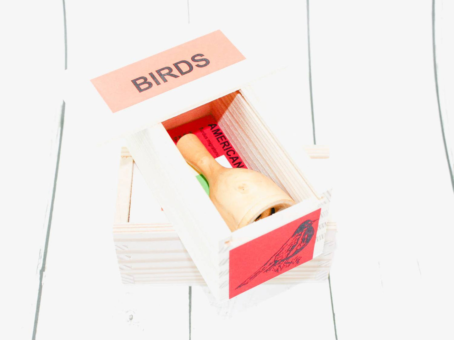 American Robin Bird Calls