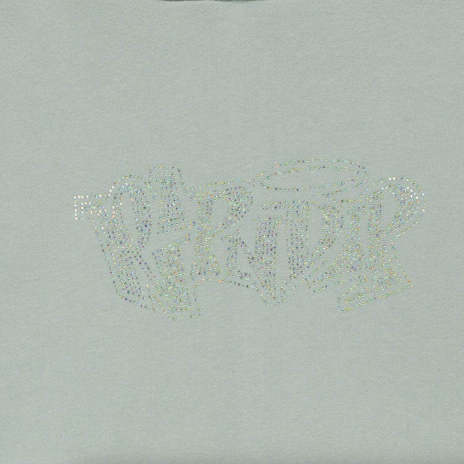 Ripndip - Women's Angels Cropped Hoodie - Rack Hunt -