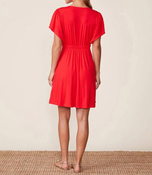 Legendary Cinched V Neck Mini Dress