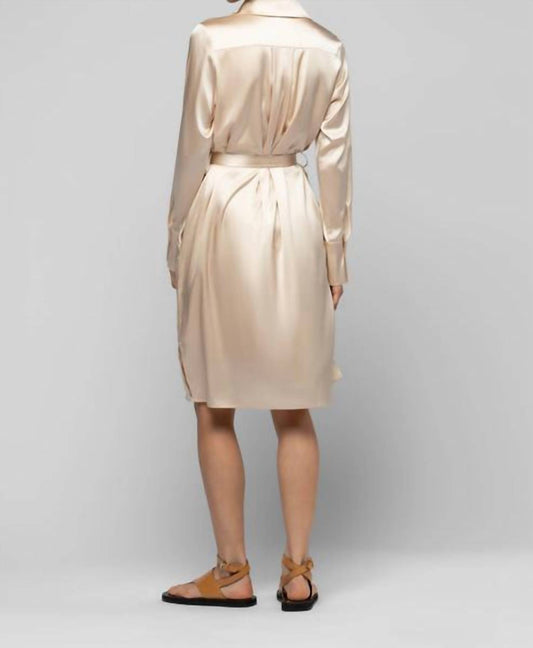 Raesa Silk Mini Shirt Dress With Leather Detail