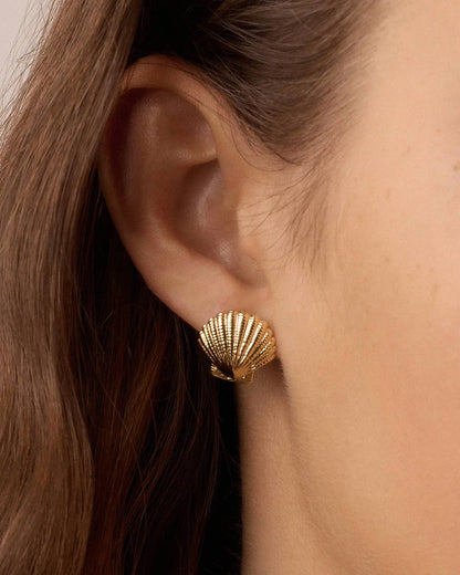Women's Shell Statement Studs