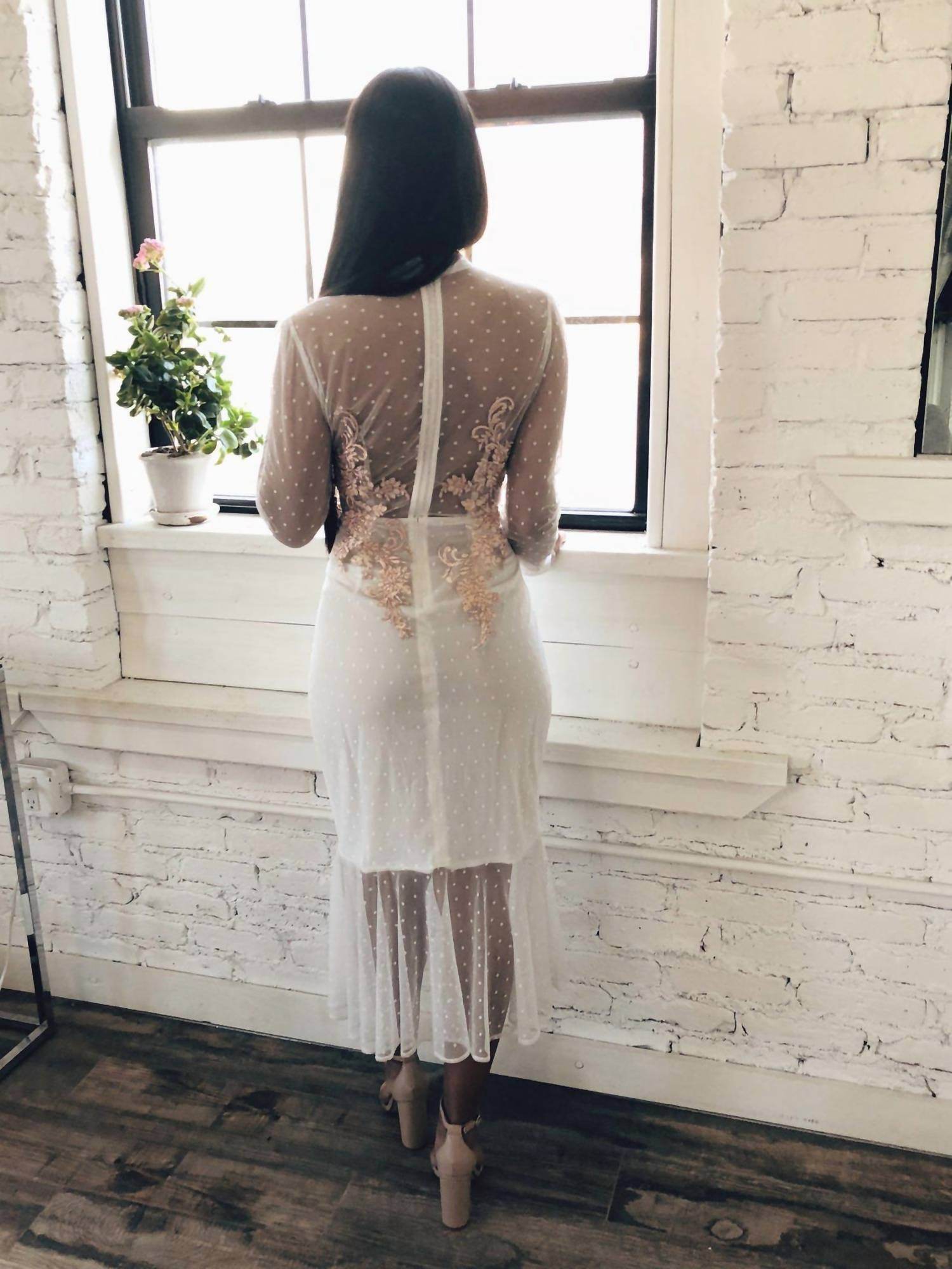 Ariti Kaziris - Long Sleeve Sheer Lace Dress - Rack Hunt