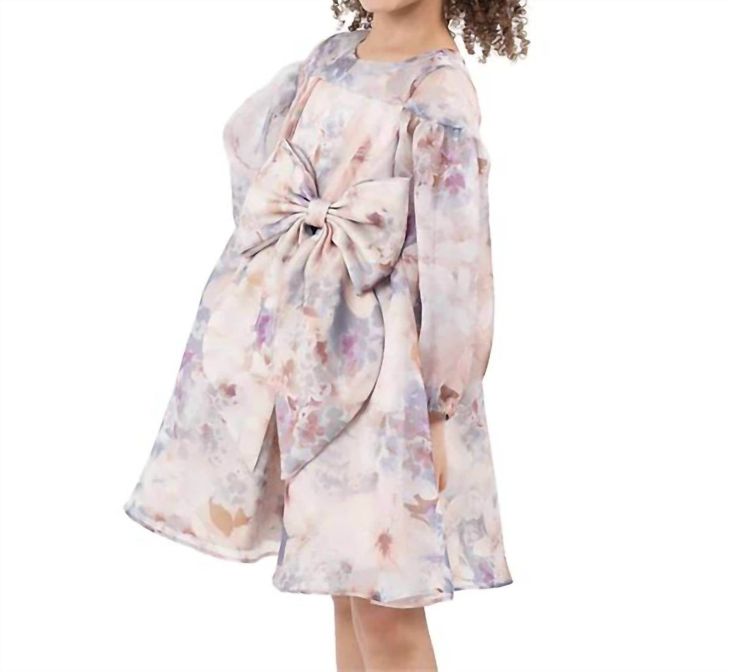 Rare Editions - Toddler & Little Girls Balloon Sleeve Floral Organza Dress - Rack Hunt -