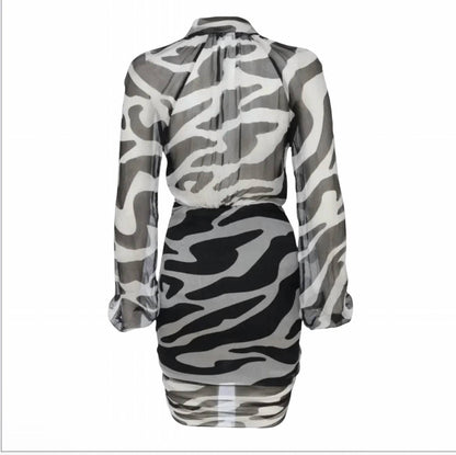 Vera Silk Zebra Print Mini Dress