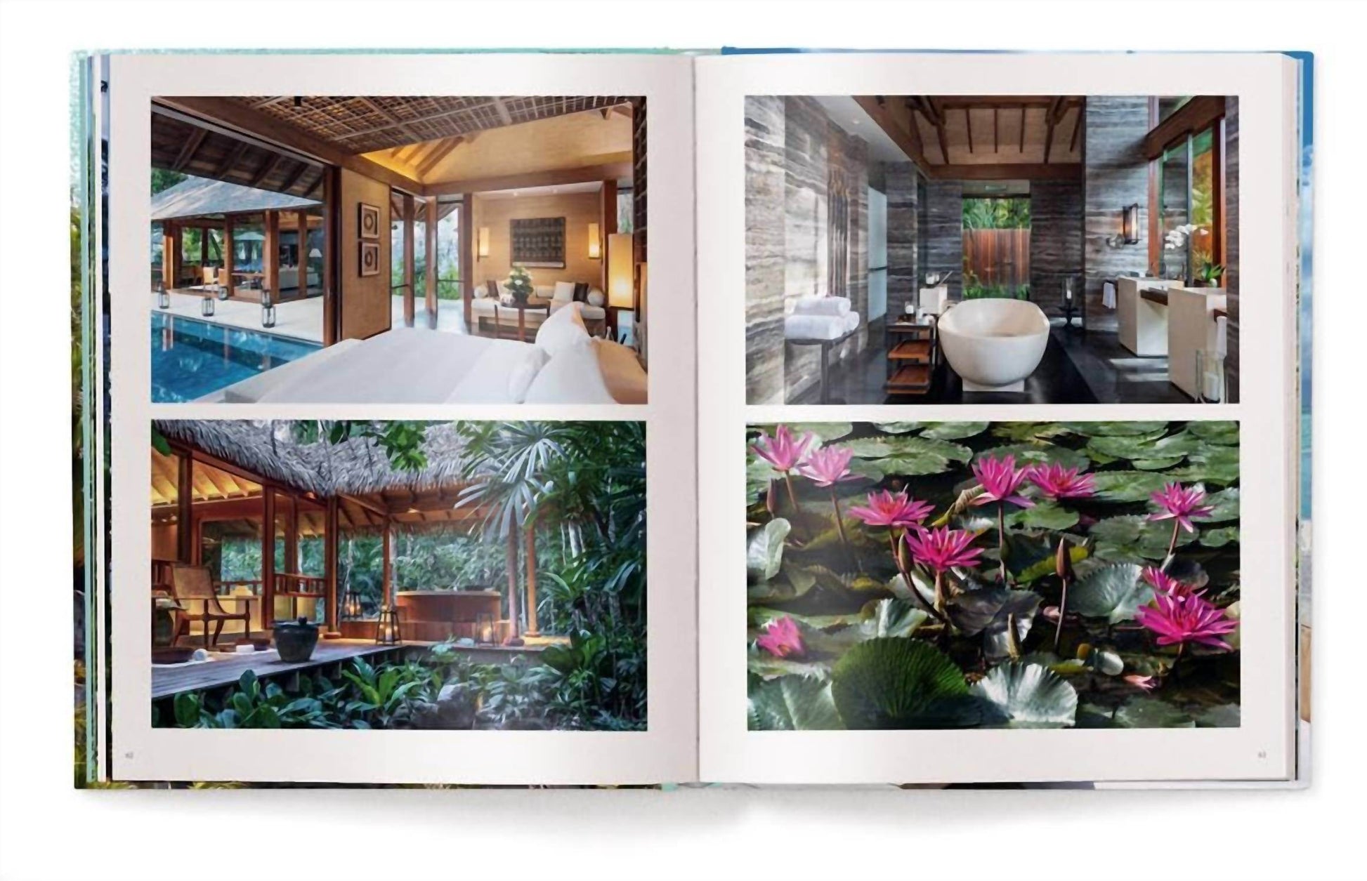 ACC Publishing - This Must Be Paradise Book - Rack Hunt -