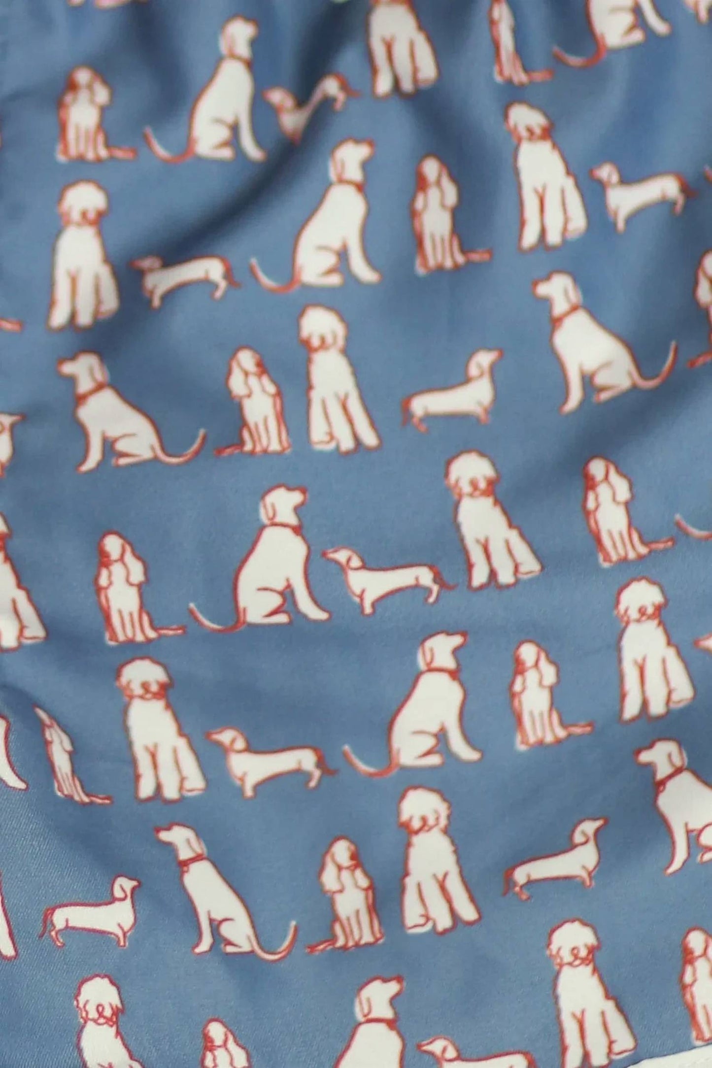 Kid's Swim Short
