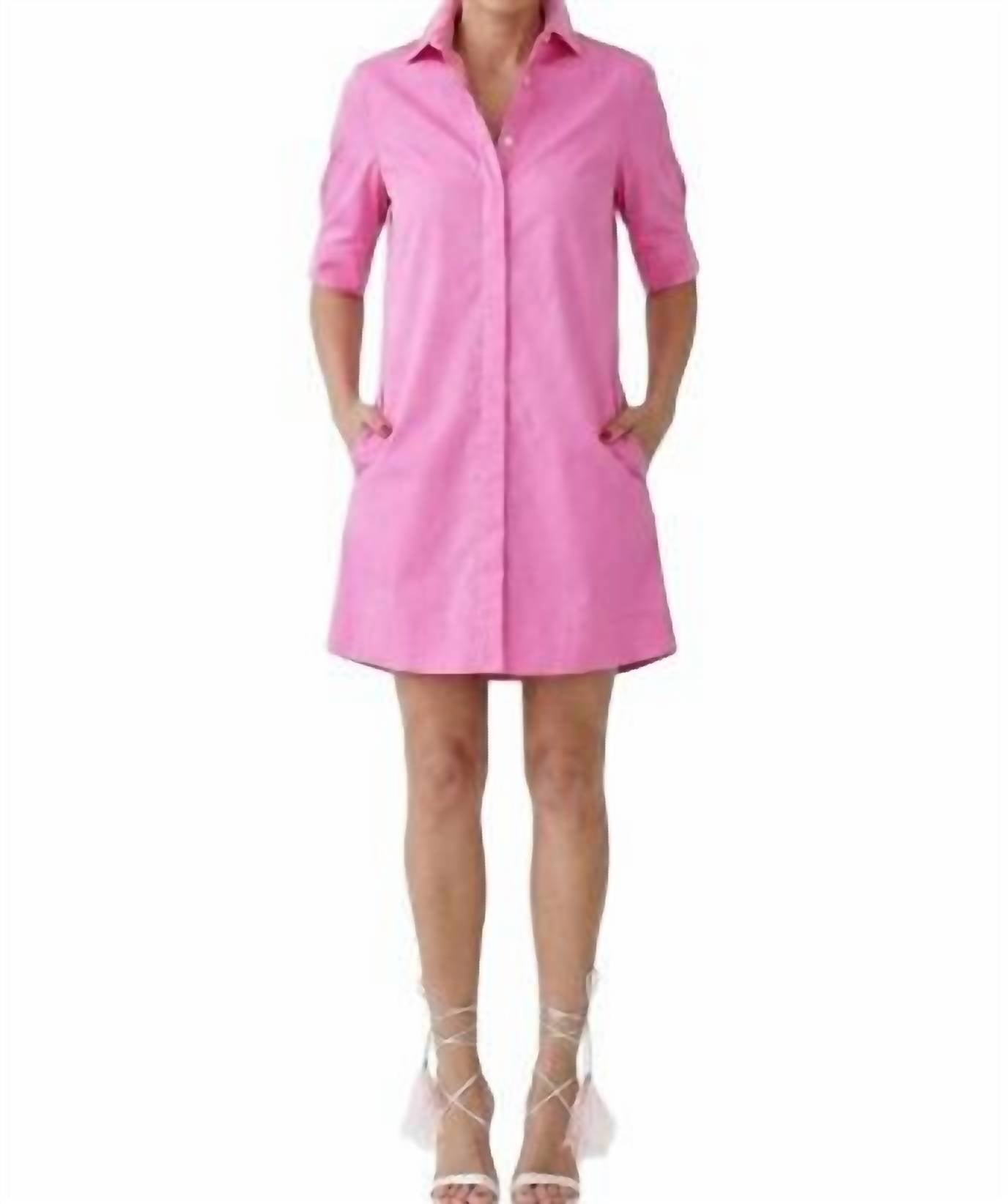 Ciam Mini Dress