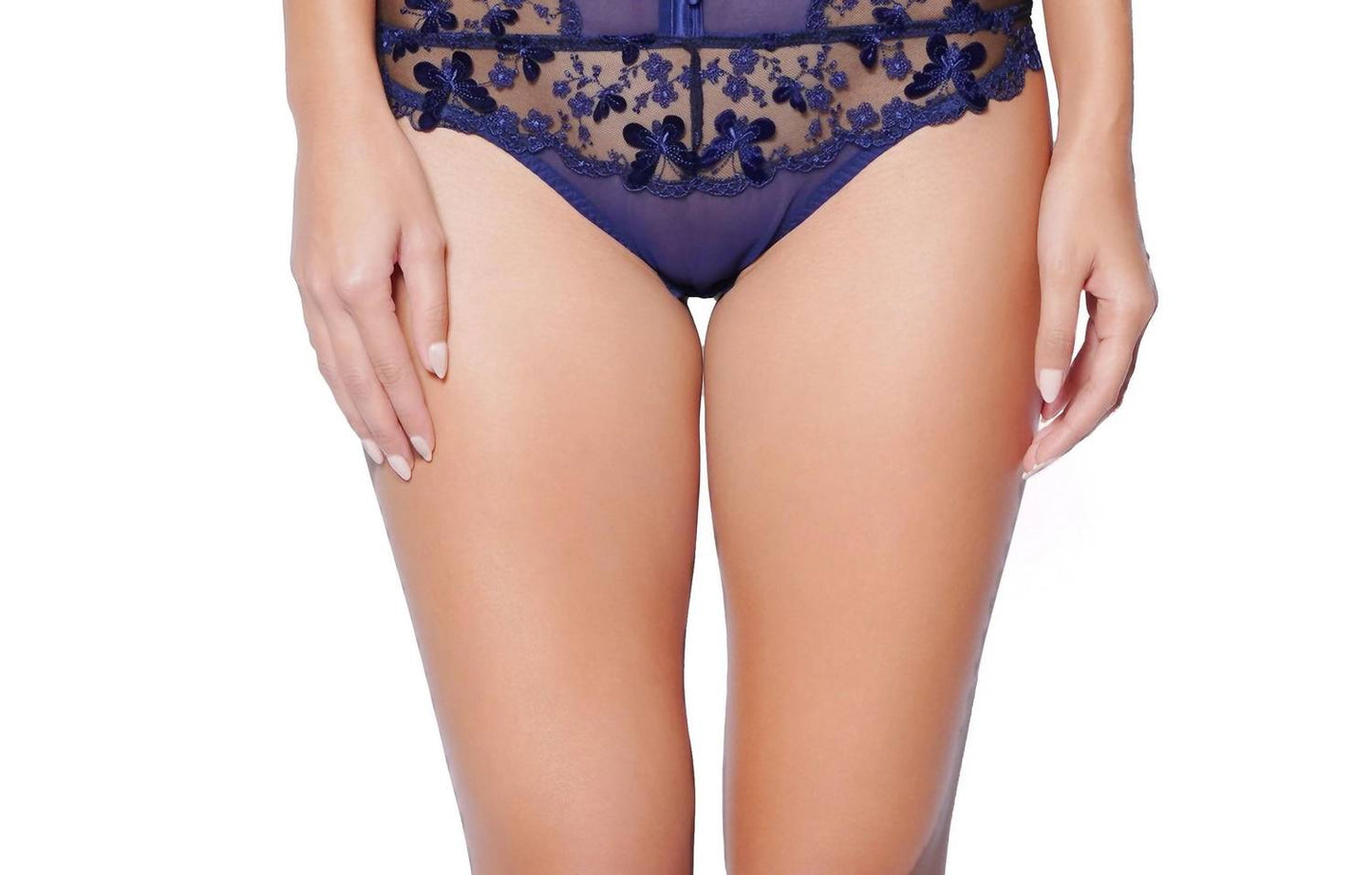 Papillon High Waisted Brief Panty