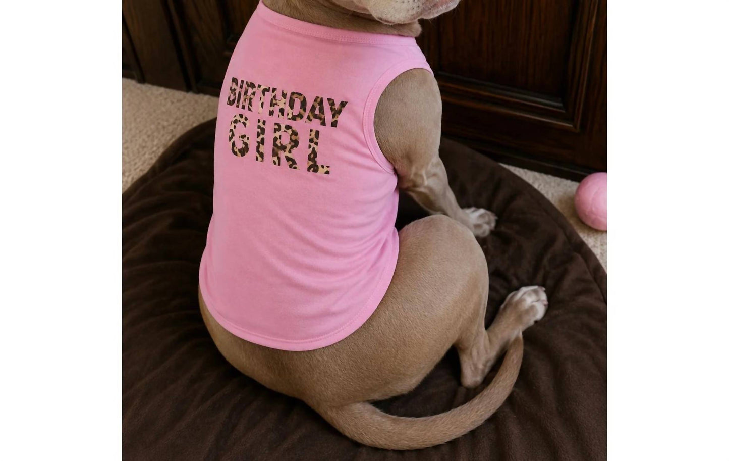 Birthday Girl Dog Tutu Set