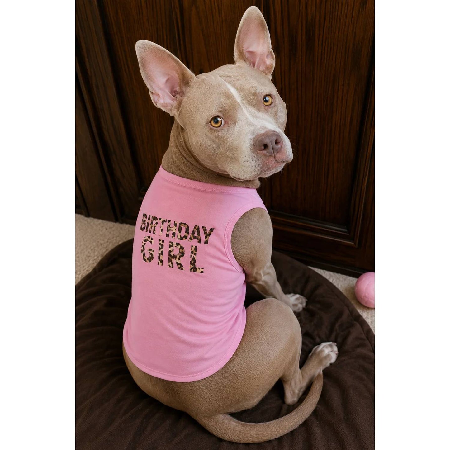 Birthday Girl Dog Tutu Set