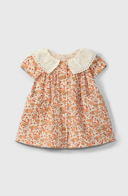 Girls Citrus Print Collar Dress