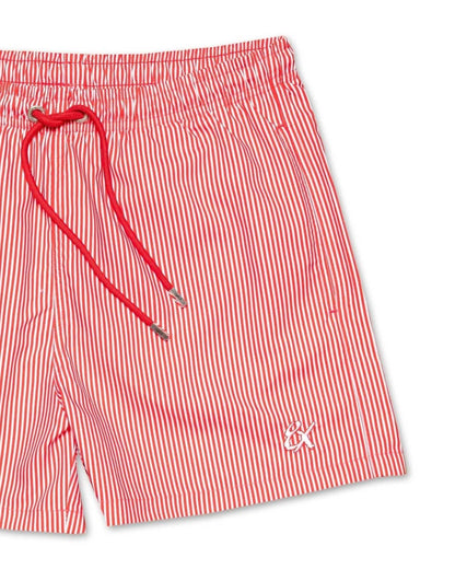Men's Striped Slim Fit Swim Trunks